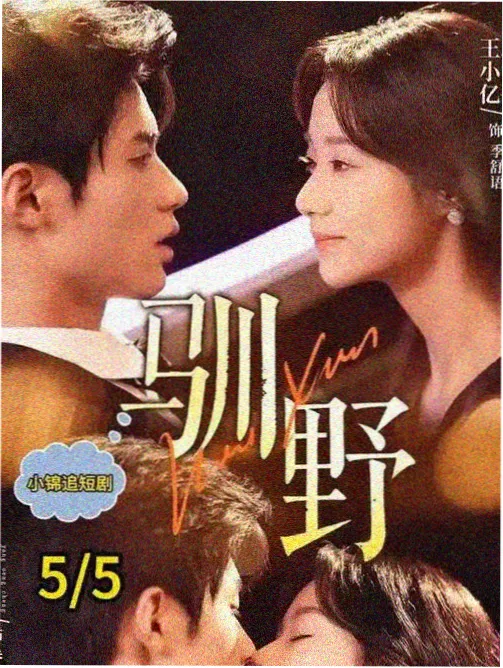 玫瑰的故事 免费观看电视剧 老牛影视